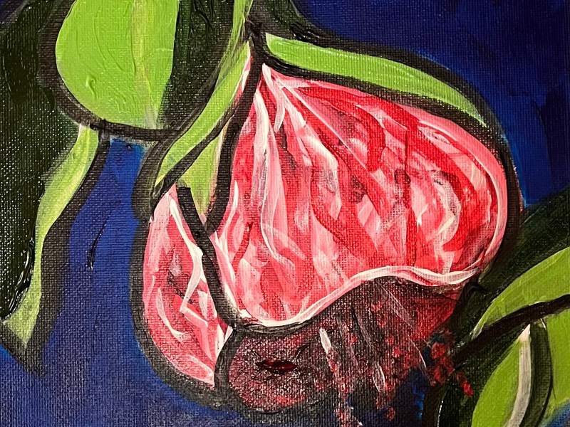 Abutilon