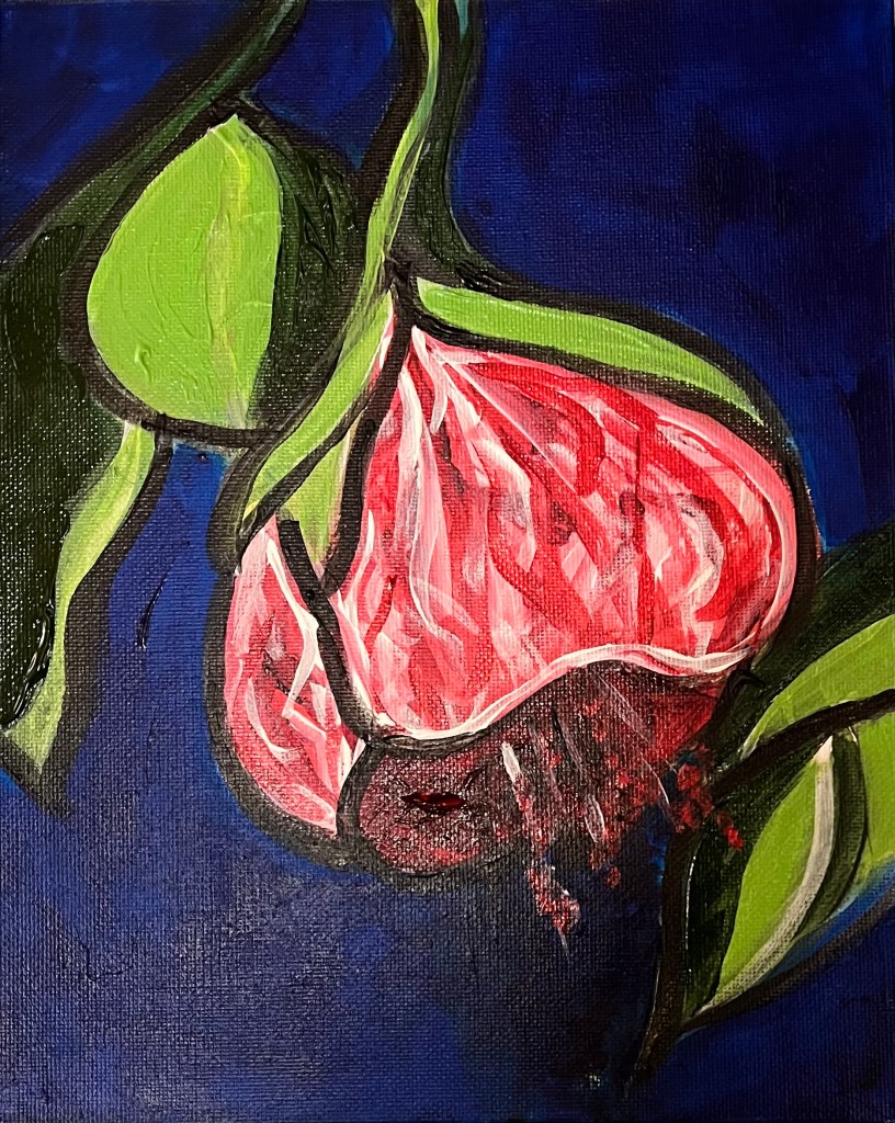 Abutilon