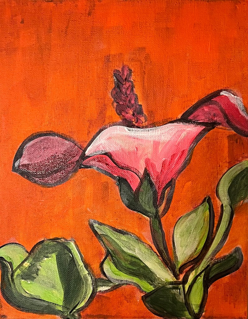 Hibiscus