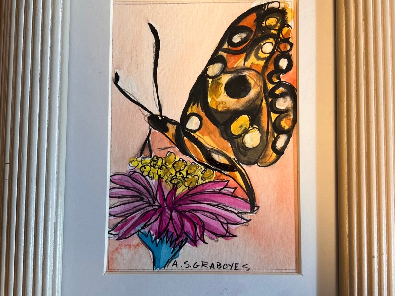 Hungry Butterfly