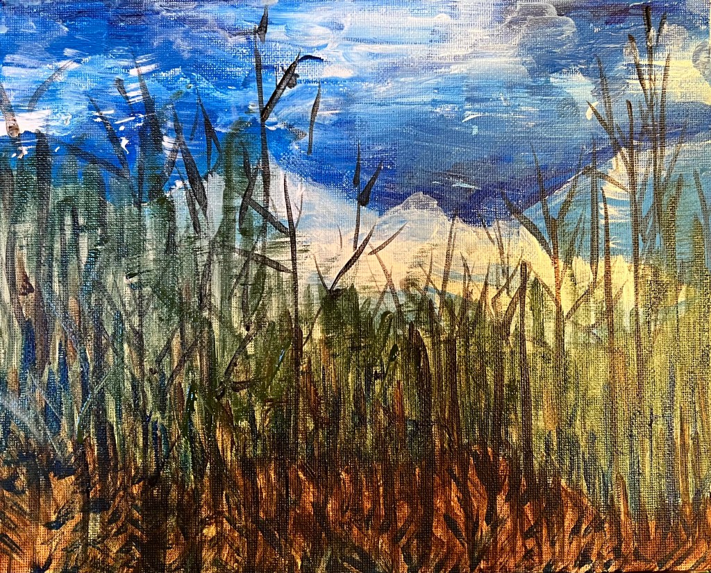 Idaho Expanse