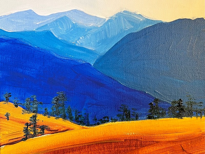 Amanda Park