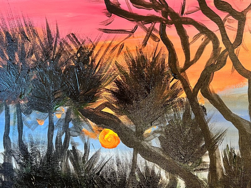 Palmetto Sunset