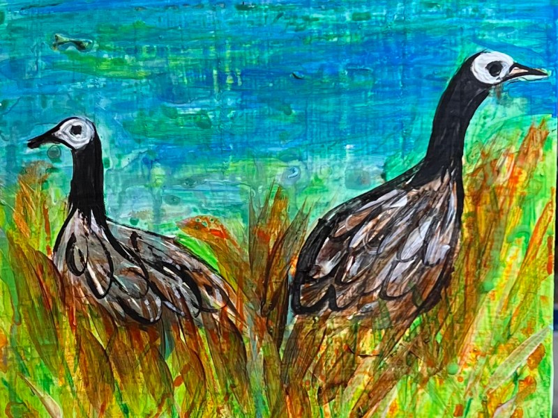 Geese on Lake Gerar