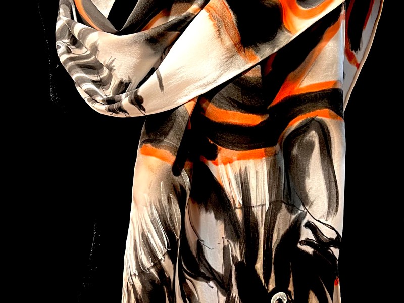 Zebra Spirit
